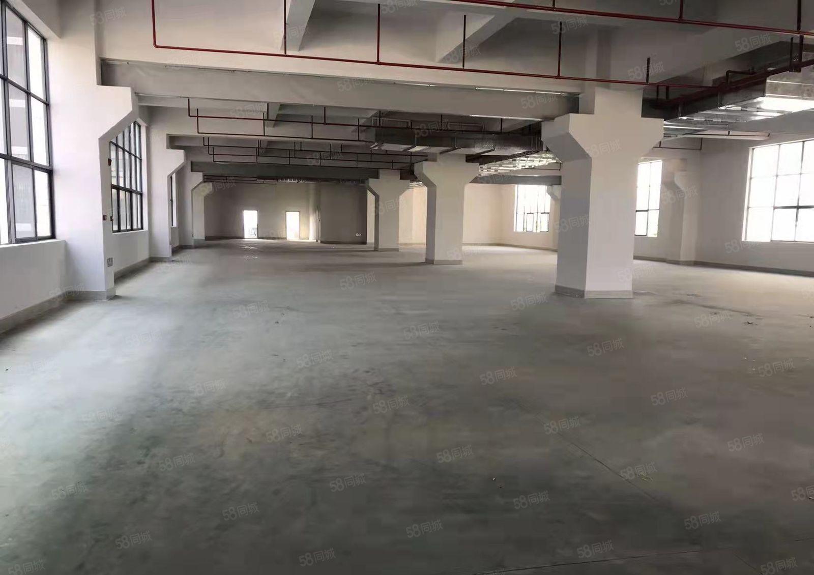 惠城水口新出全新原房东标准厂房 大小可分 可办环评