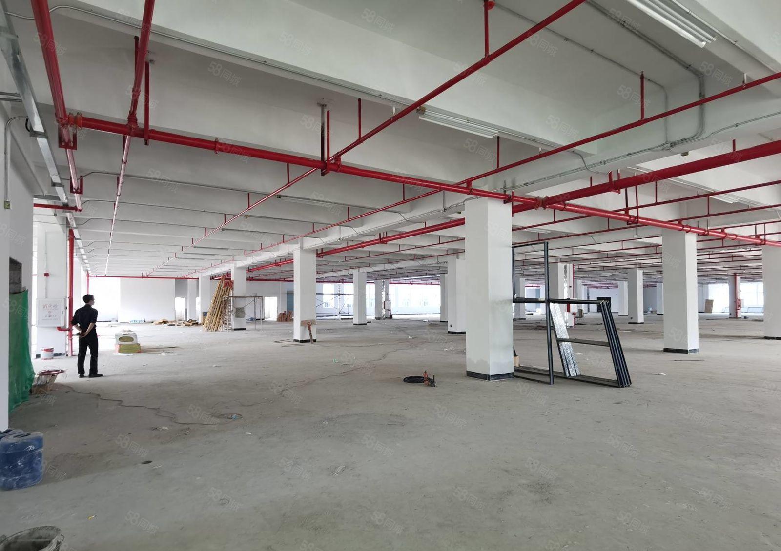 三栋格林精密旁全新厂房4楼1500平米 租金9.9元 证件齐