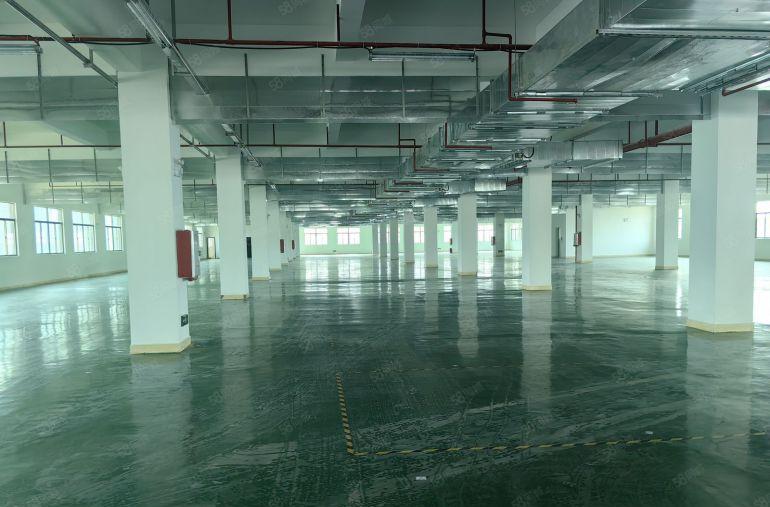 小金口8元厂房出租，独栋4层6000平，货梯5吨2部