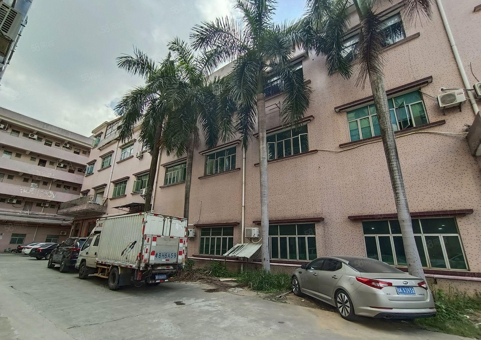 带牛角！水口新出标准一楼500平带装修，现成办公室！交通方便