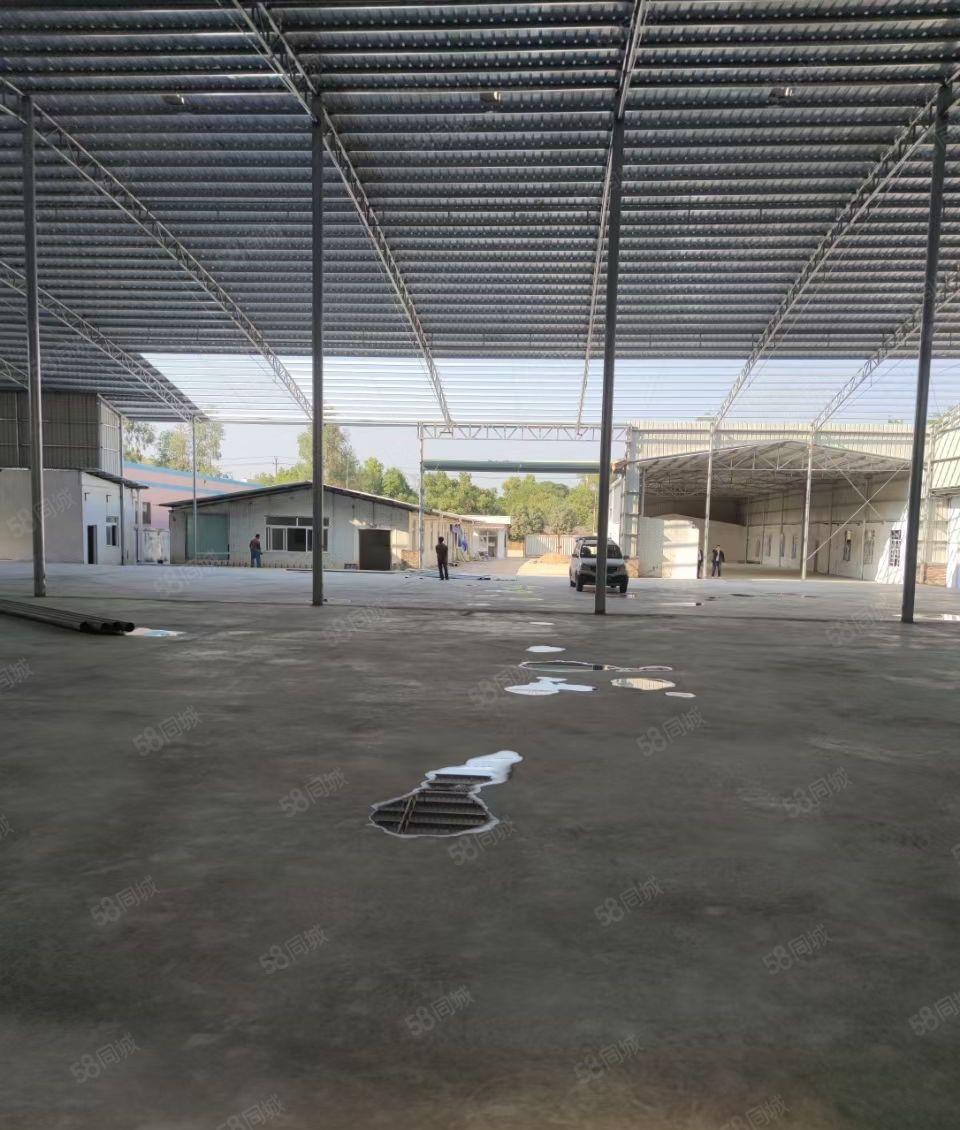 惠城独院钢构4980平，单一层楼房3800平，滴水9米