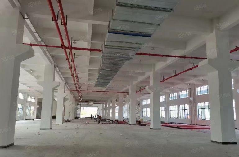 水口龙湖大道附近7米高钢构1300平方出租