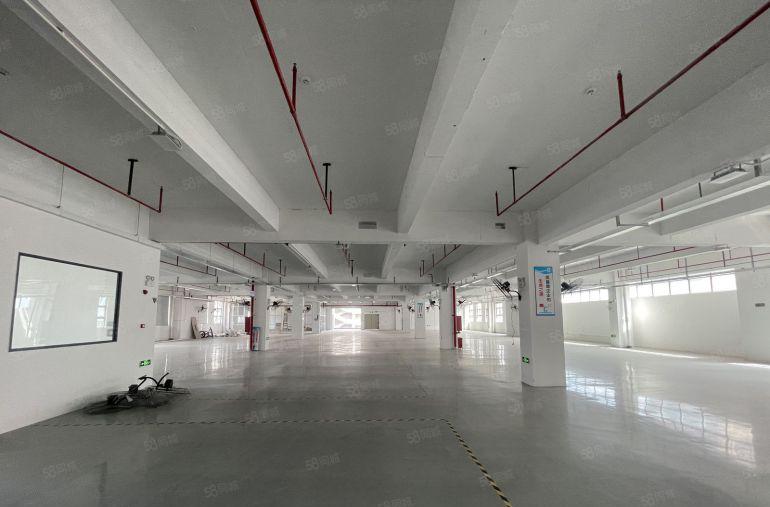 7块！免租期5个月，三栋1600平原房东带装修厂房仓库出租