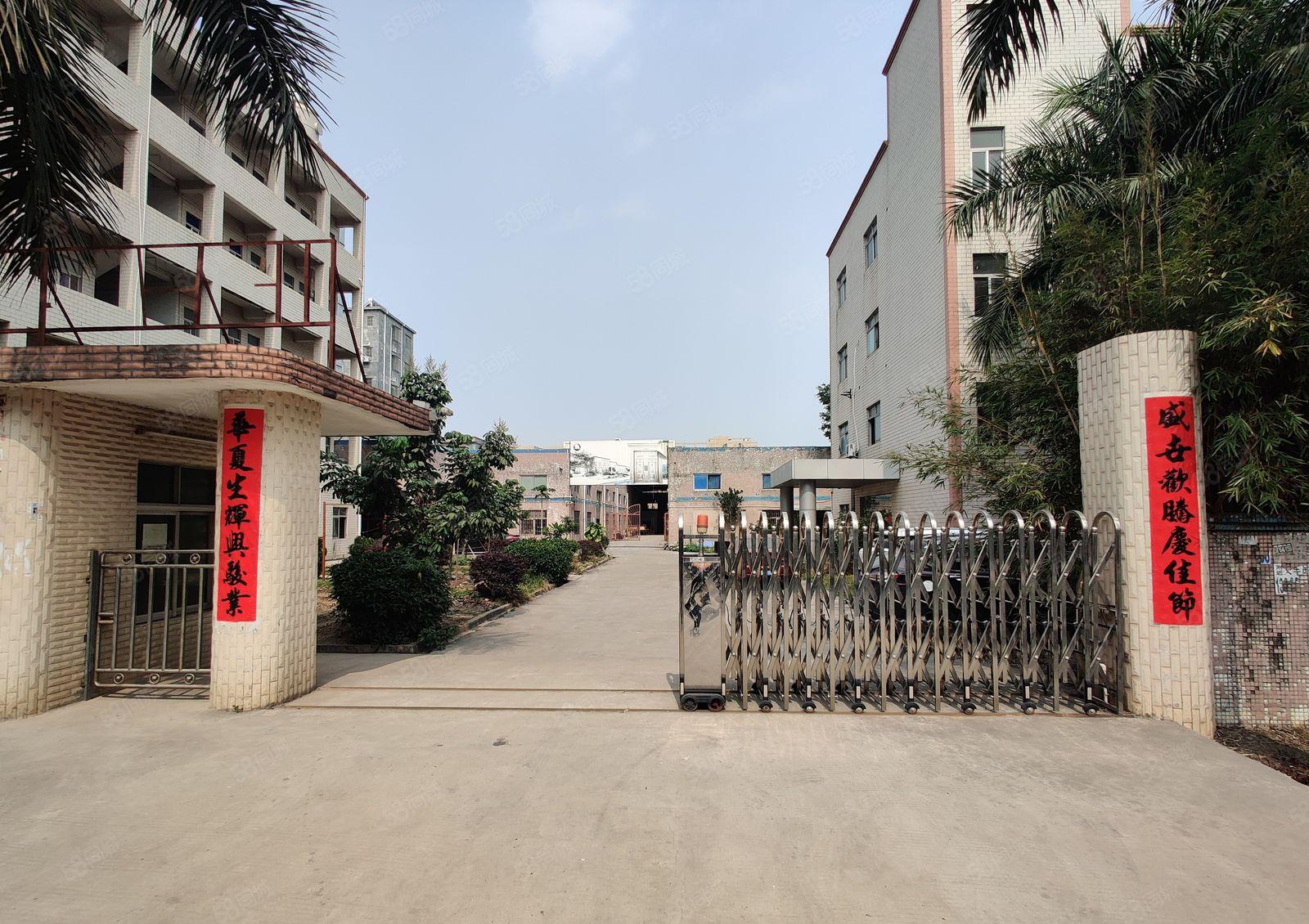 马安镇新乐工业区独院钢构厂房2500招租主线到车间一手房东