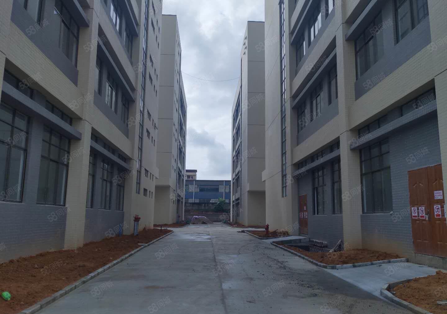 9.9元特价栋全新红本标准厂房5楼1500平方出租，两部电梯