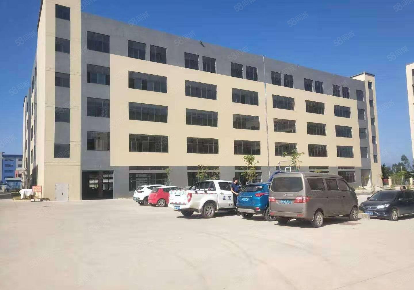 水口红本工业园区空出2400平 带现成装修 一楼层高5.5米