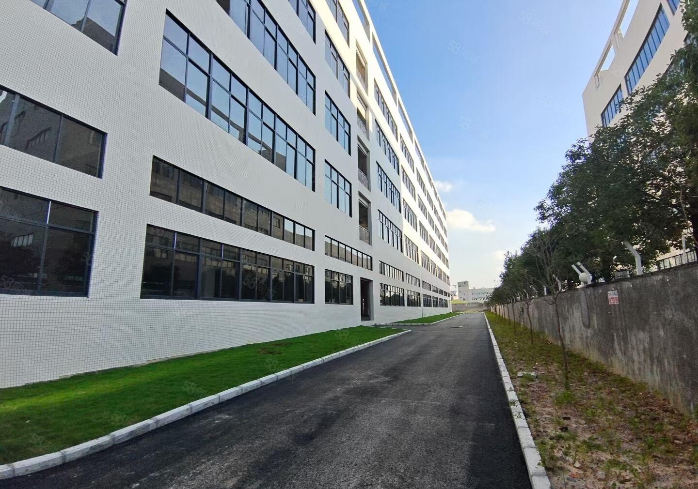 马安 全新独院红本1.5万平厂房1000平起租 租金10元