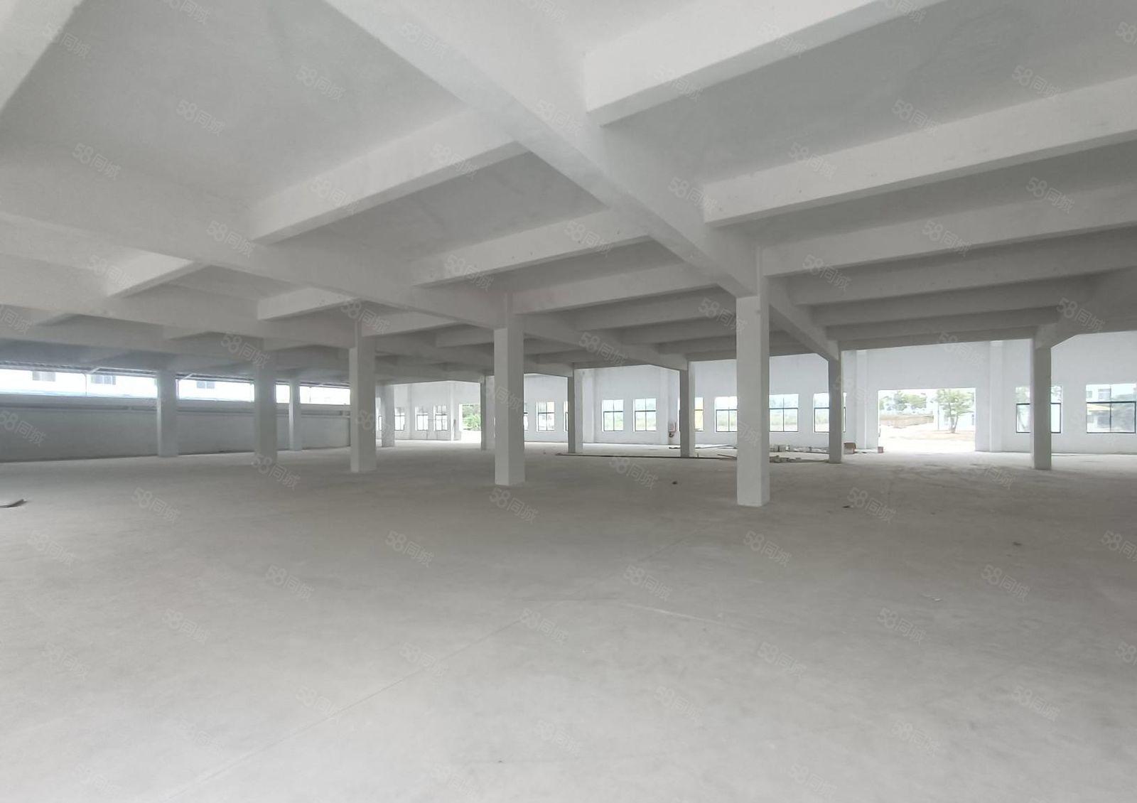 惠城区江南大道旁红本工业园一楼标准9米高厂房3500平方出租