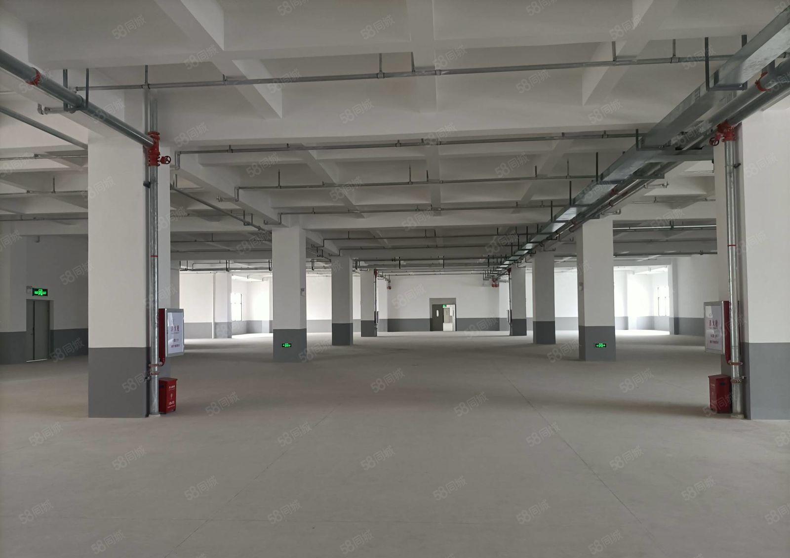 水口东江全新厂房1500平方 10元出租，水电齐全