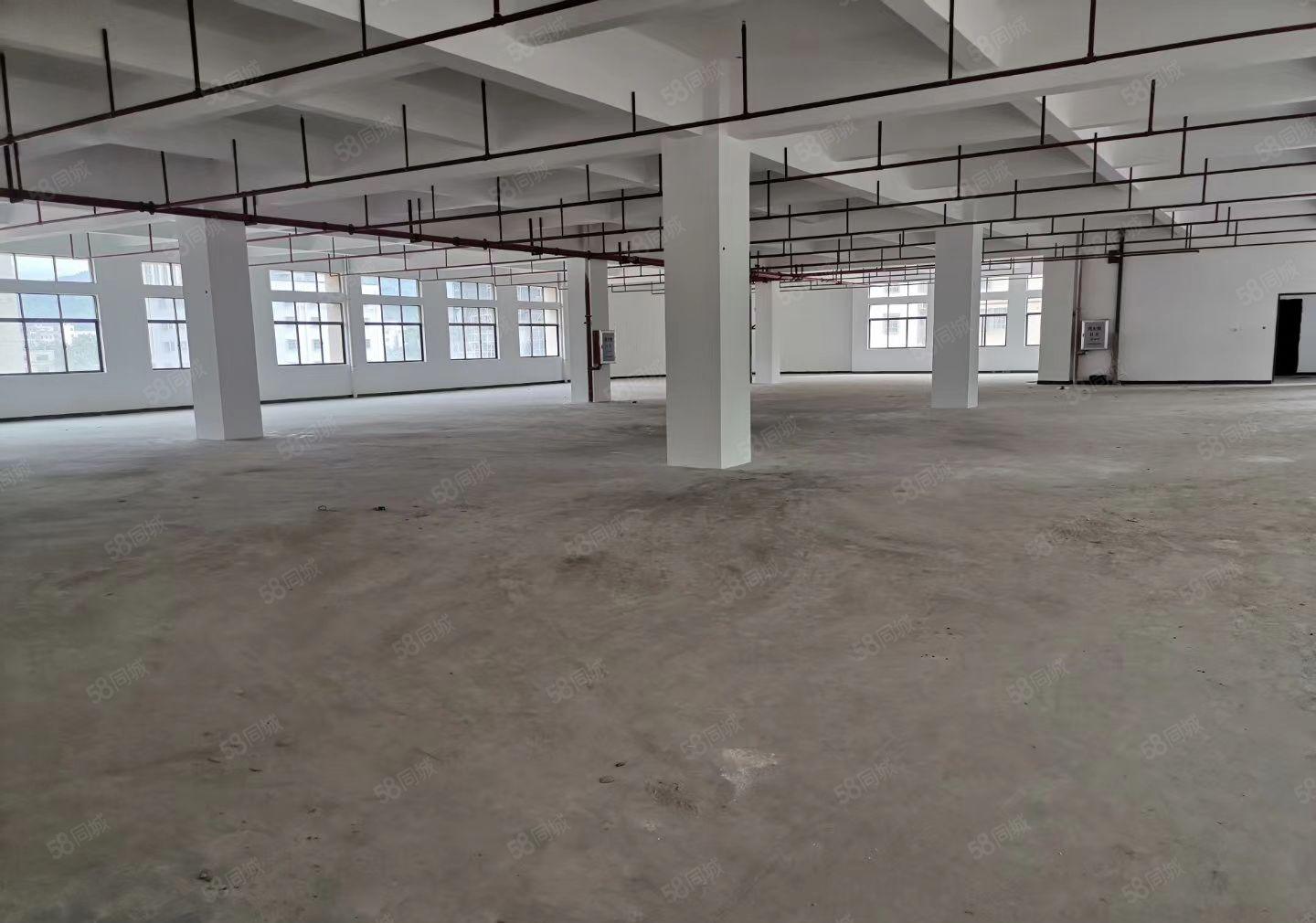 惠州市惠城区原房东独院标准厂房3万方，上市公司