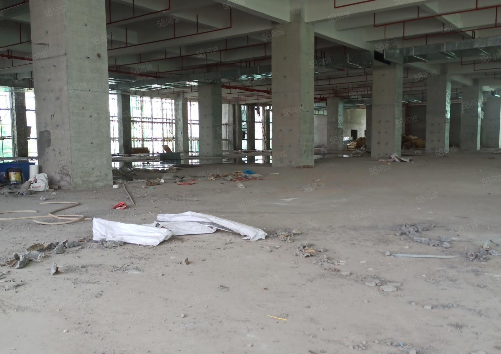 高新区三栋数码园1楼高度6.5米 2楼高度5.5米。可分层租