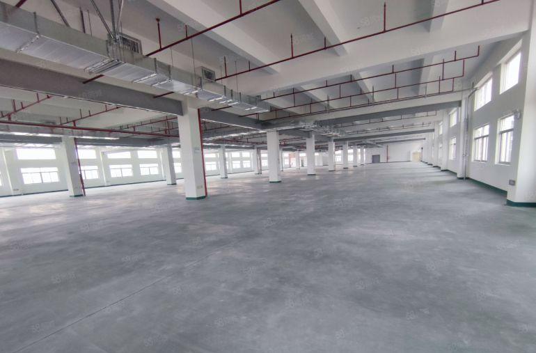 惠城区马安原房东独栋厂房出租1000平起分租一楼7米高