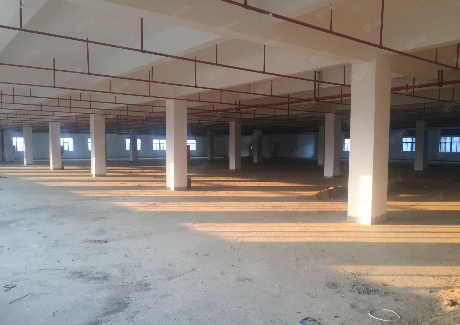 马安镇   全新独院厂房17000平米出租，位置佳！！