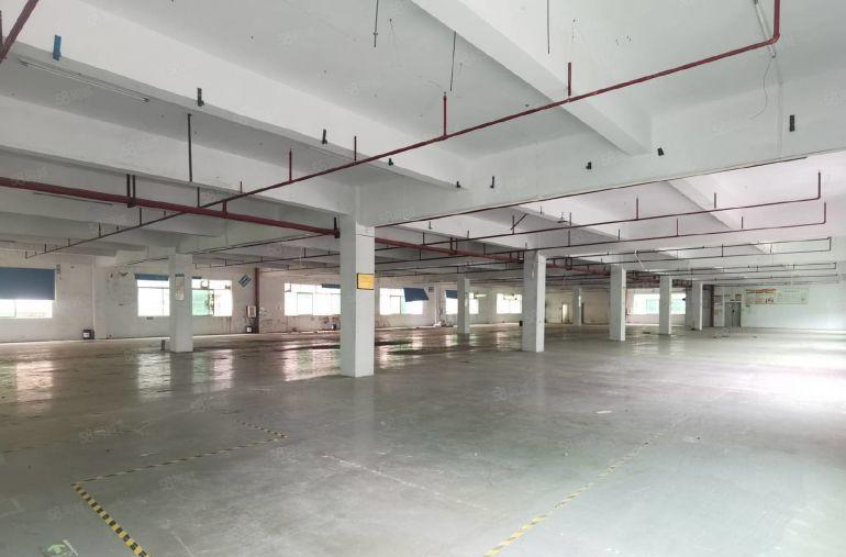 马安新乐一二楼厂房2700平米出租 原房东直租 可以分租