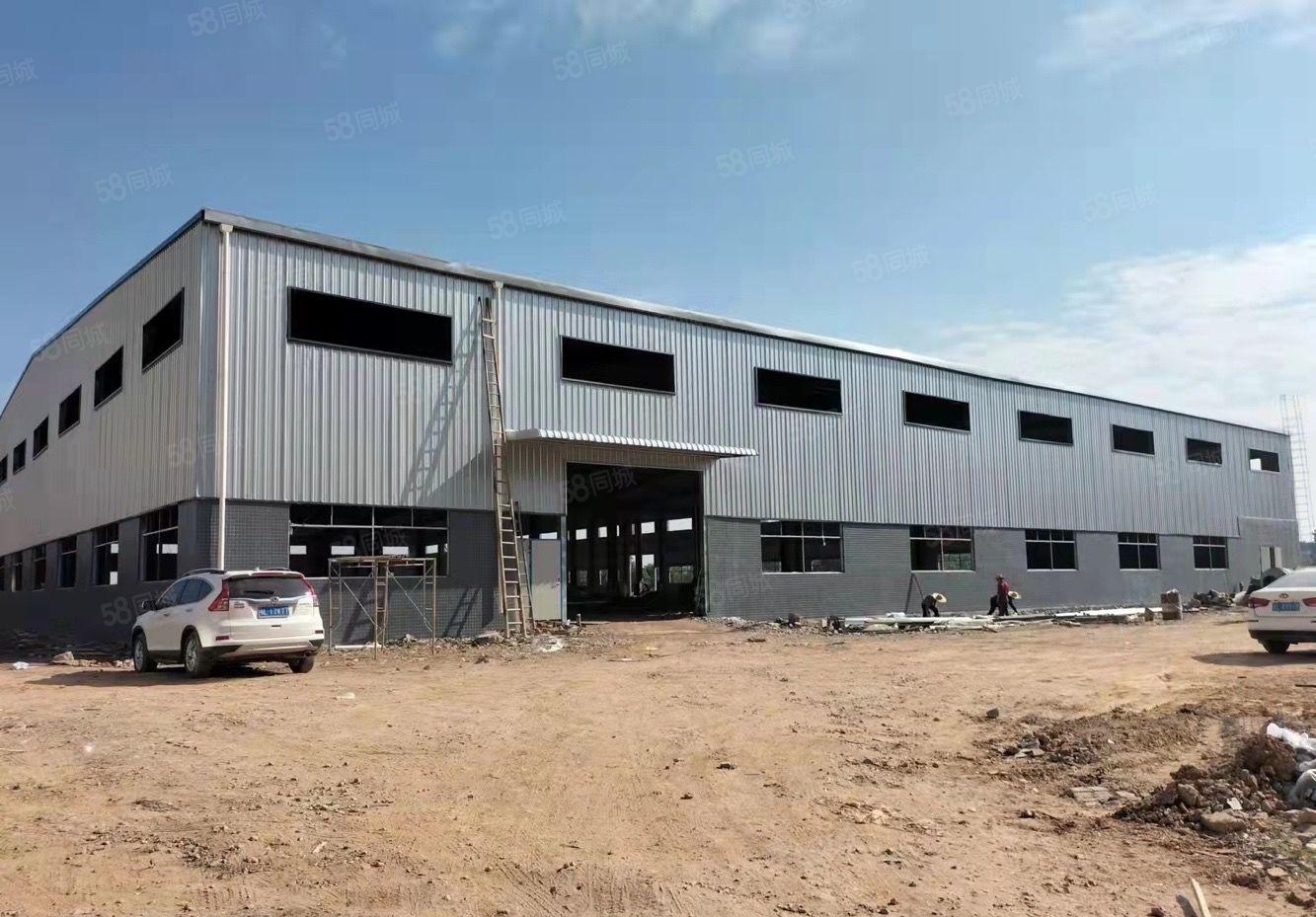 惠城区马安新建10米高标准钢构厂房出租