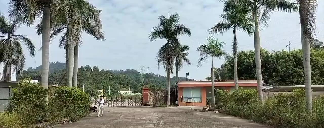 河南岸原房东3万平方超大空地钢结构厂房出租（厂房7000）