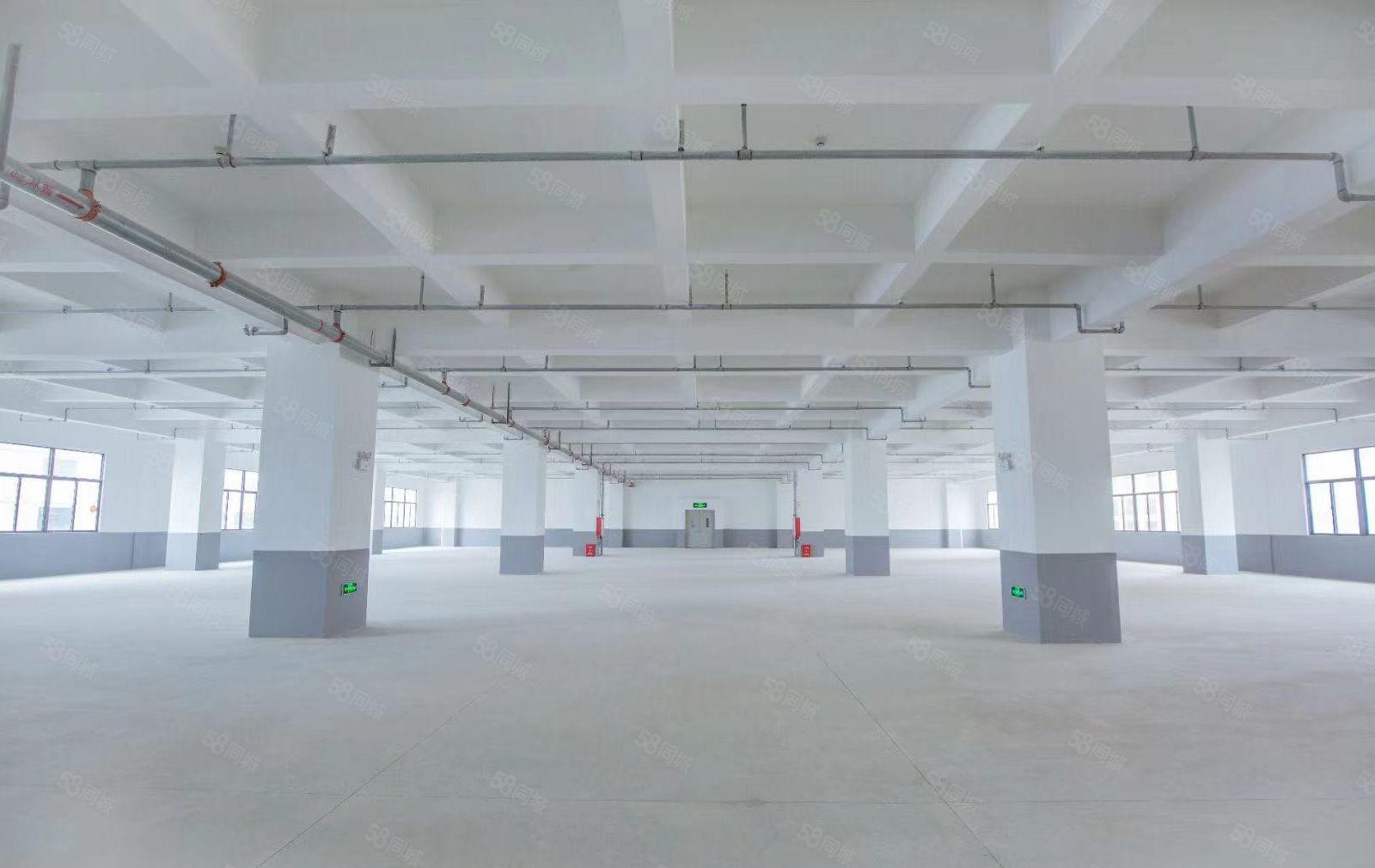 惠城区水口镇大型园区厂房出租可以分租