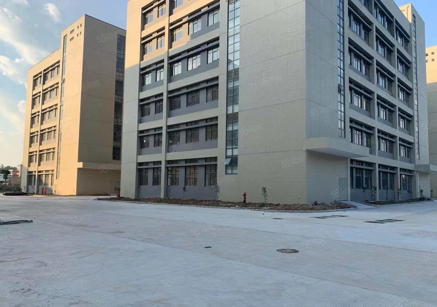 惠城区三栋镇原房东零公摊红本独门独院工业园业主直租