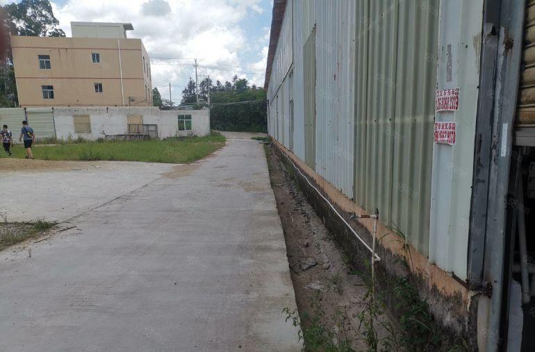 三栋原房东全新钢构厂房出租 1000平方，空地800平