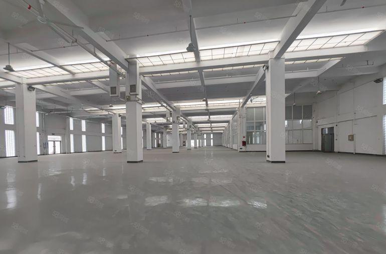 仲恺主干道边上上市公司超大空地出租钢构5500平方大小可分租