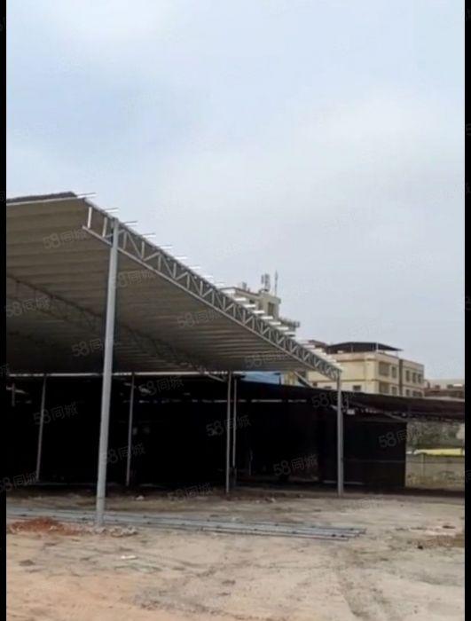 惠城区小金口金石二路全新6米高钢结构出租