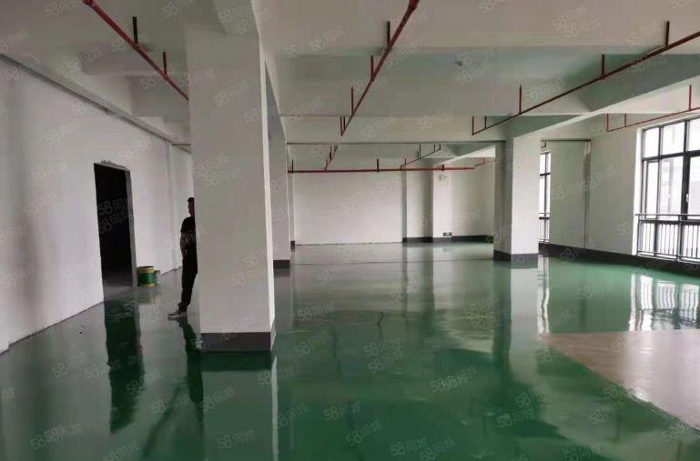 马安镇低价厂房出租原房东直租带地坪漆无需装修直接入驻配大货梯