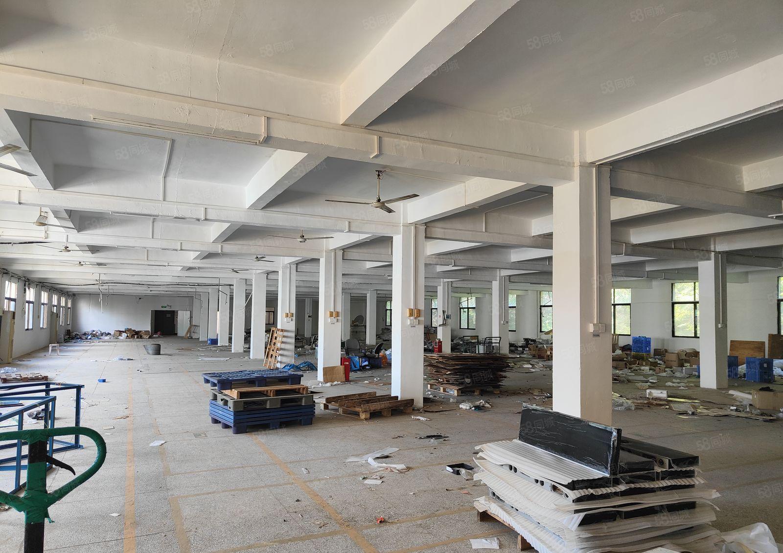 小金独院标准厂房1万平米出租，红本厂房带货梯空地大