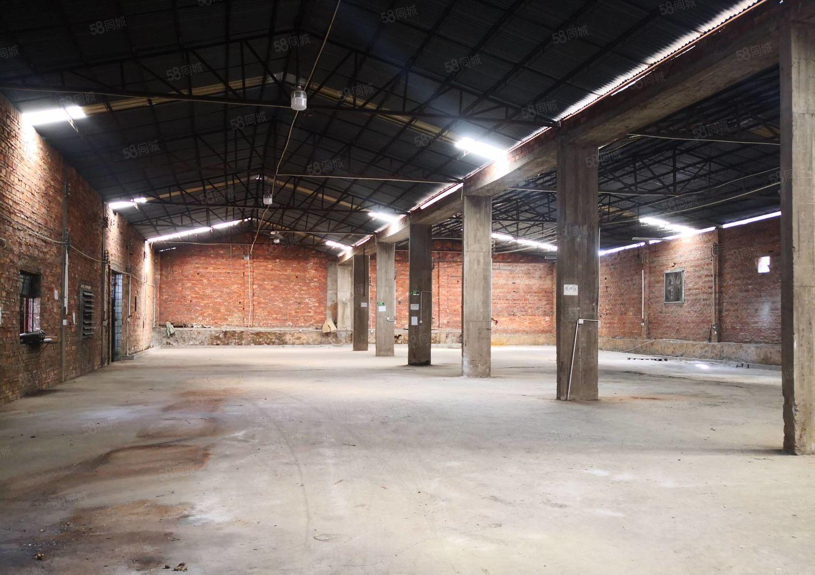 惠城区小金原房东单层钢构厂房2000平方出租