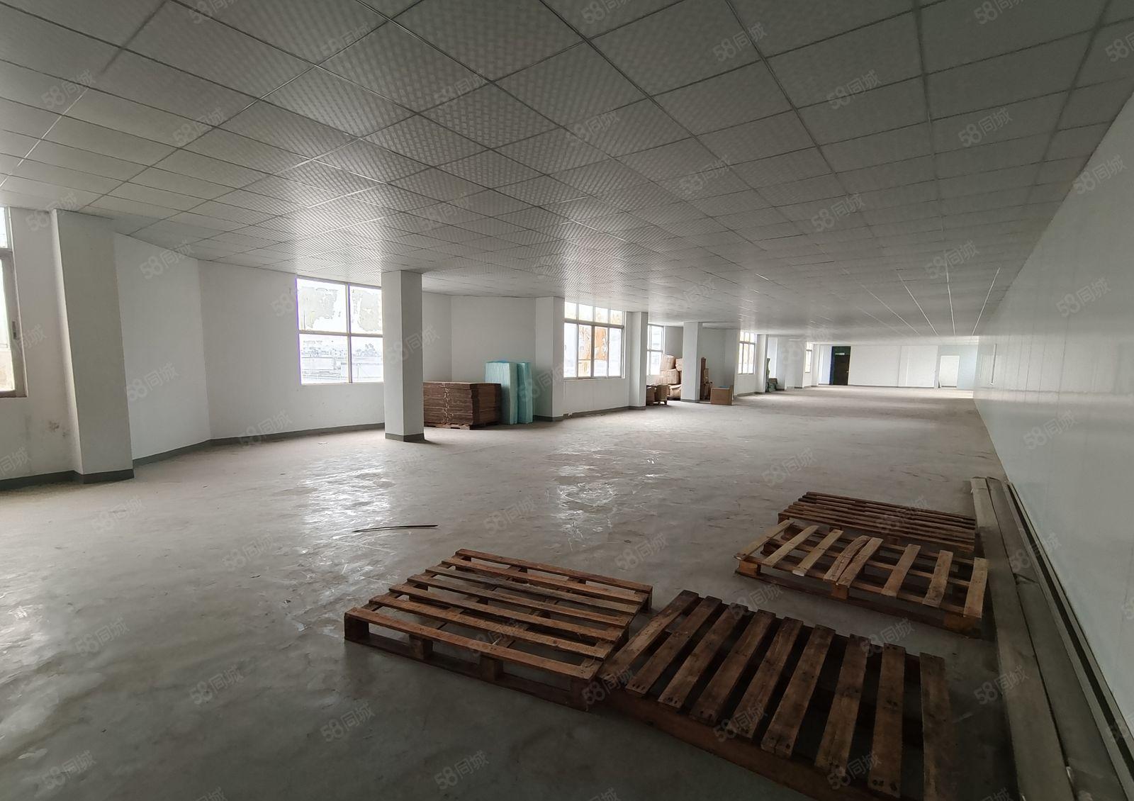 水口东江工业区水果市场900平方米厂房出租好招工有货梯