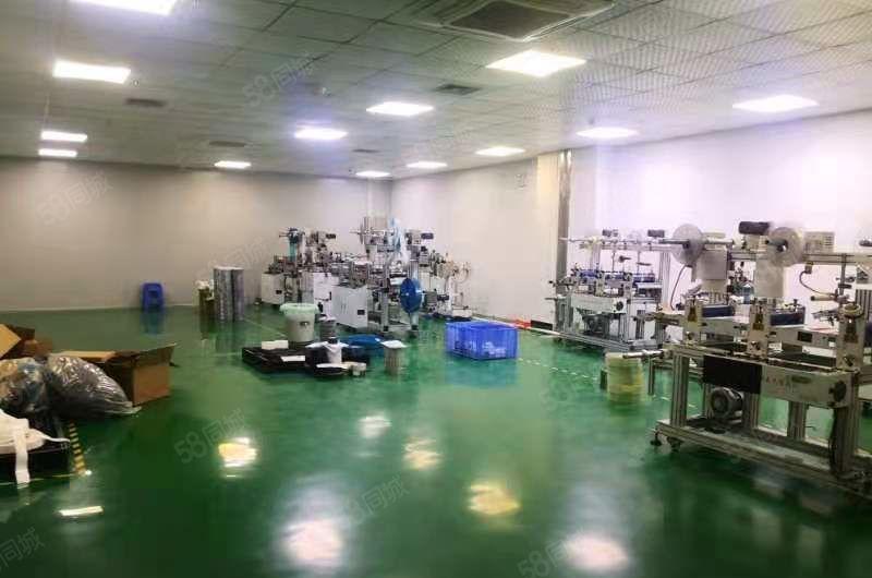 马安新出楼上带装修厂房，面积1500平米，租金13元每平方米