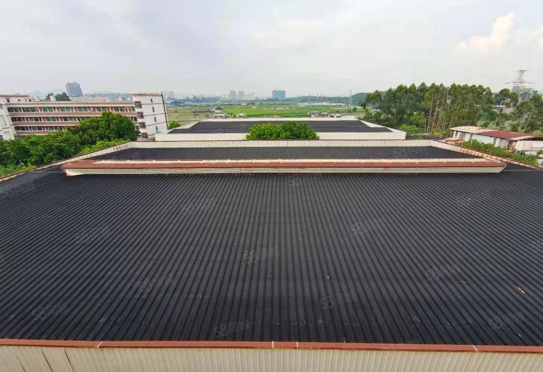 水口东江大型钢构厂房出租