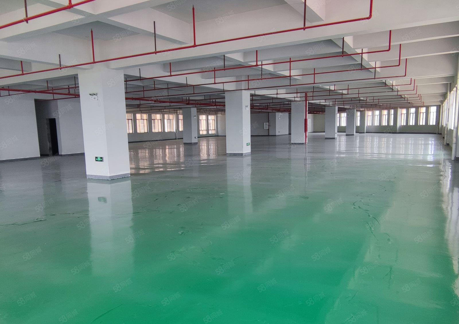 水口仲恺高新区新空出标准厂房一楼4000平花园式厂房可分租