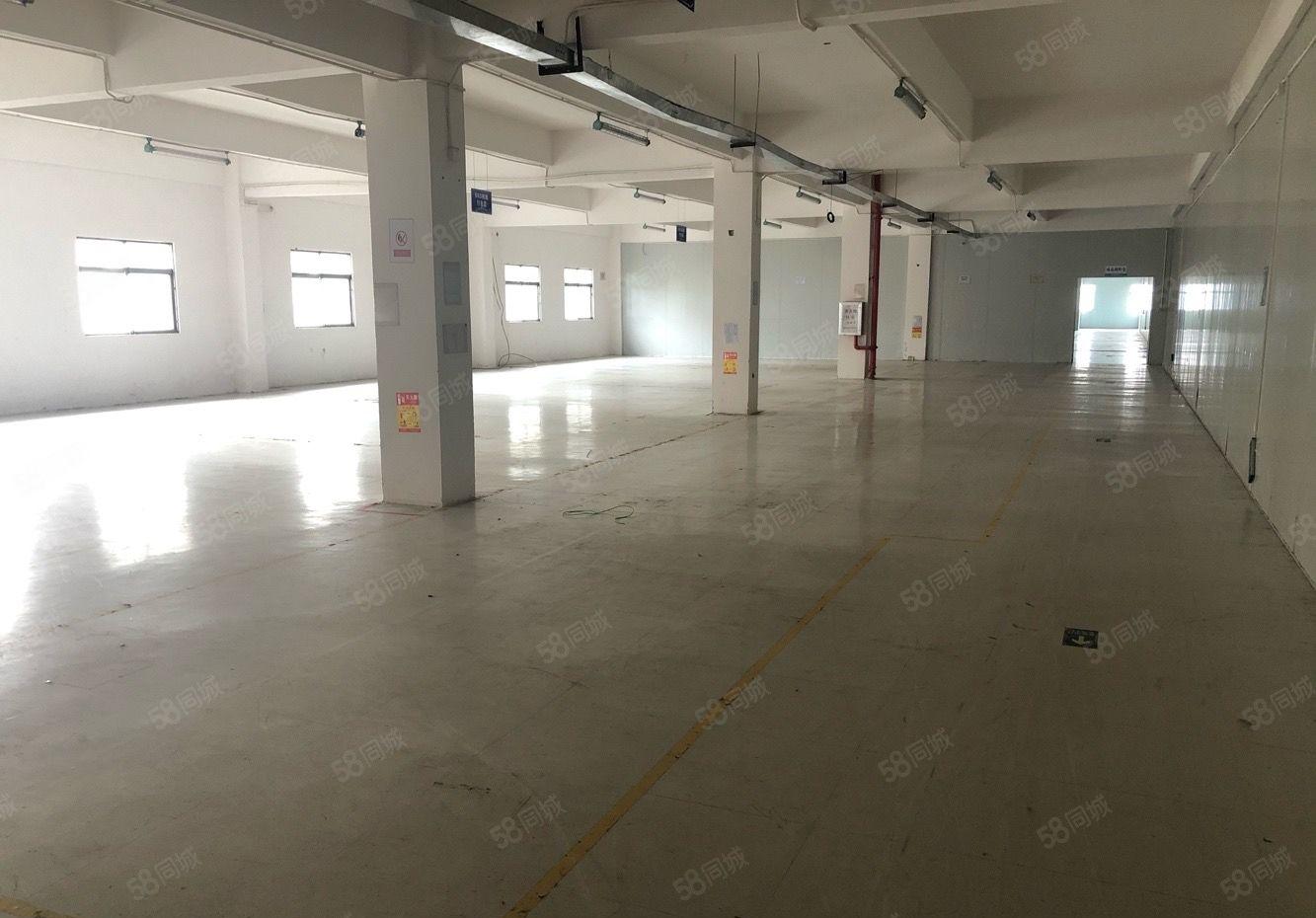 水口独院三层3800平方可办环评