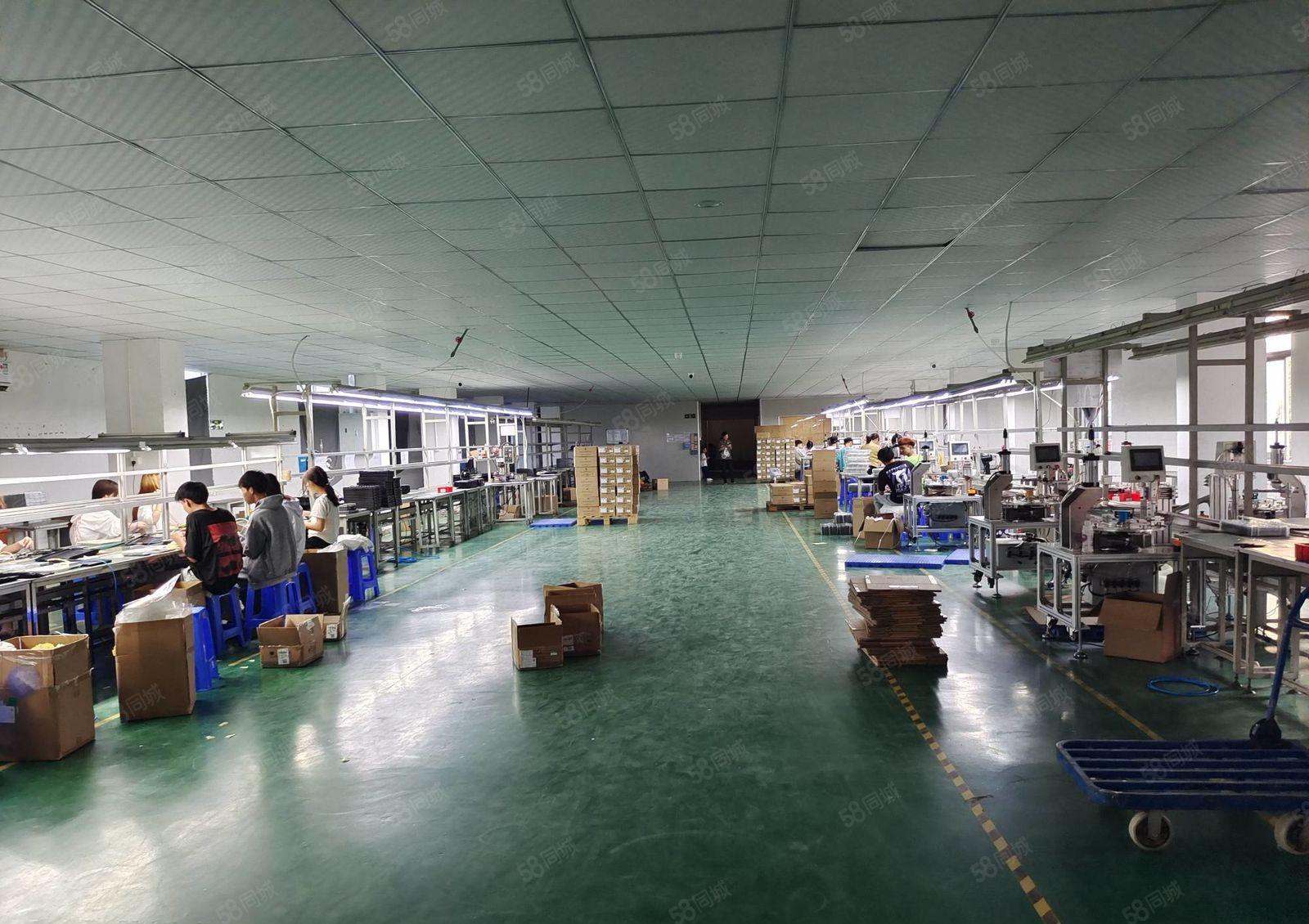 9.9元招租，马安镇政府附近全新厂房1200平方厂房招租