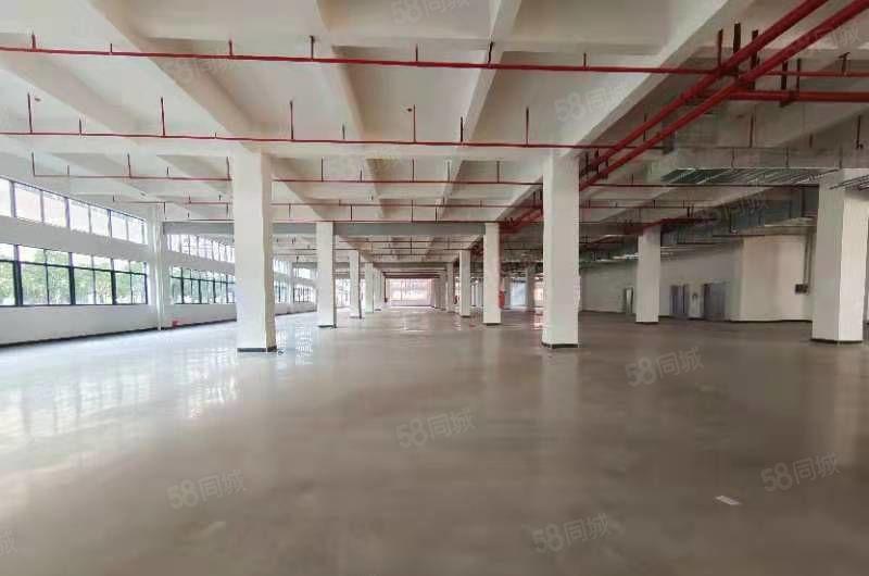 马安平潭怡发二路全新厂房3500平米 证件齐全 租金10元