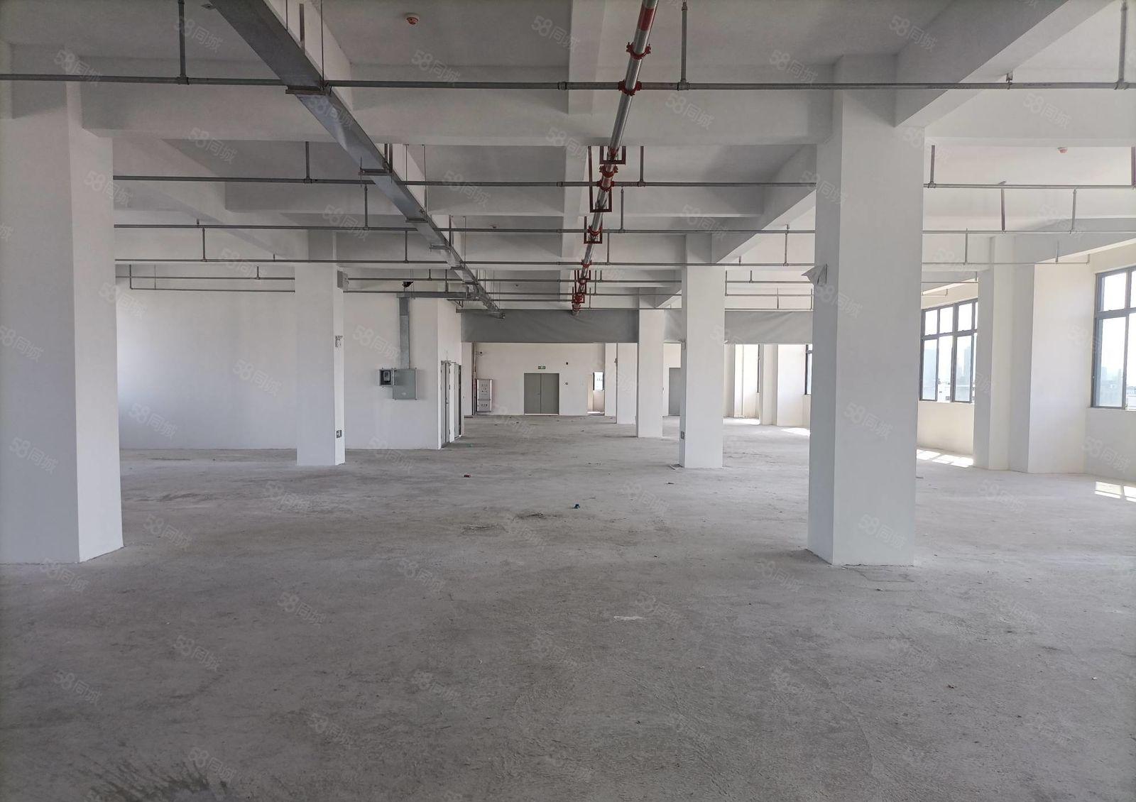 （信）惠城原房东新建独院厂房13000平，国道旁，好招工