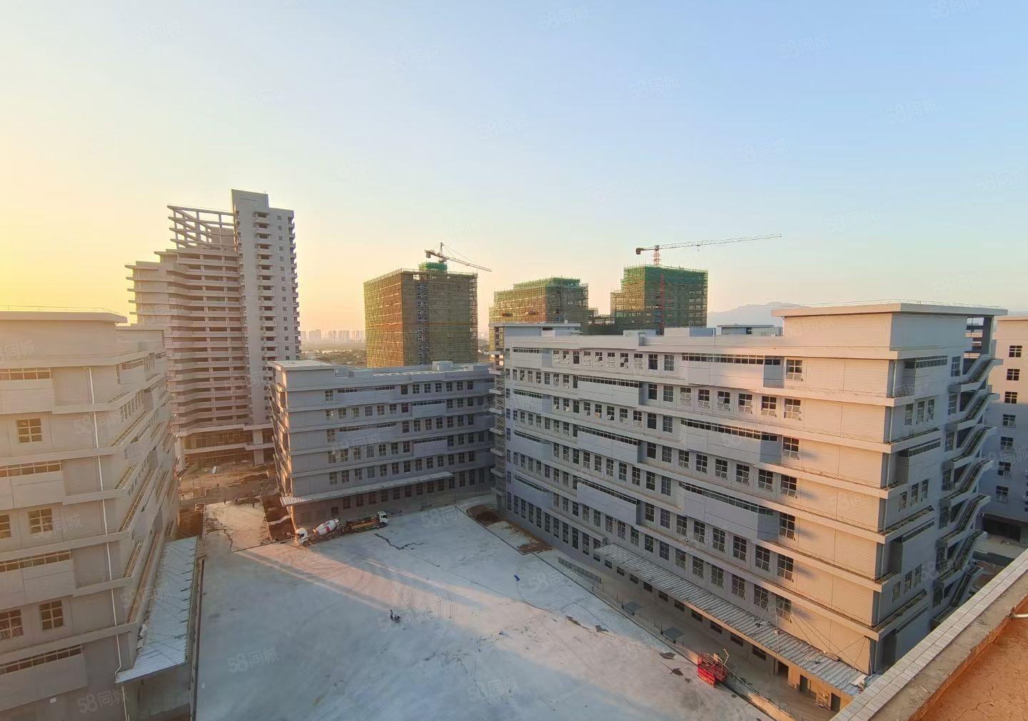 水口东江湾高端产业标准厂房出租 上市公司！