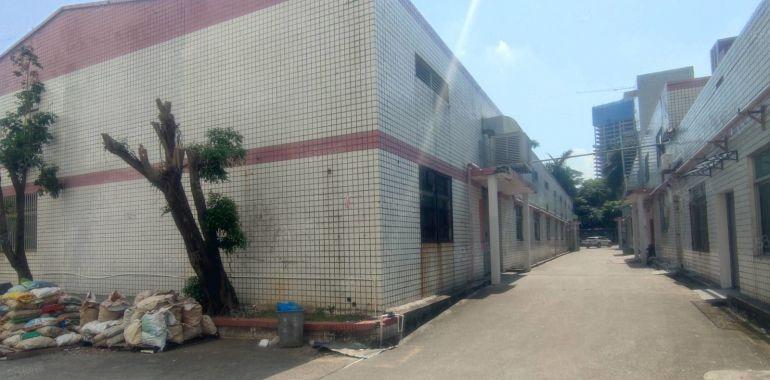 惠城小金口1000平独栋钢构厂房物流仓库出租实际面积主干道边