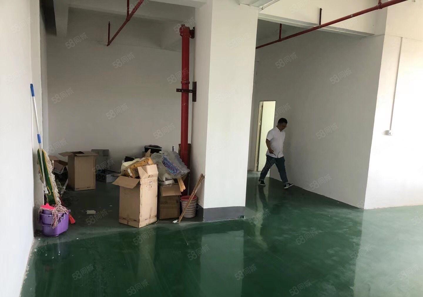 全新工业园红本钢构厂房，带宿舍办公室，超大空地