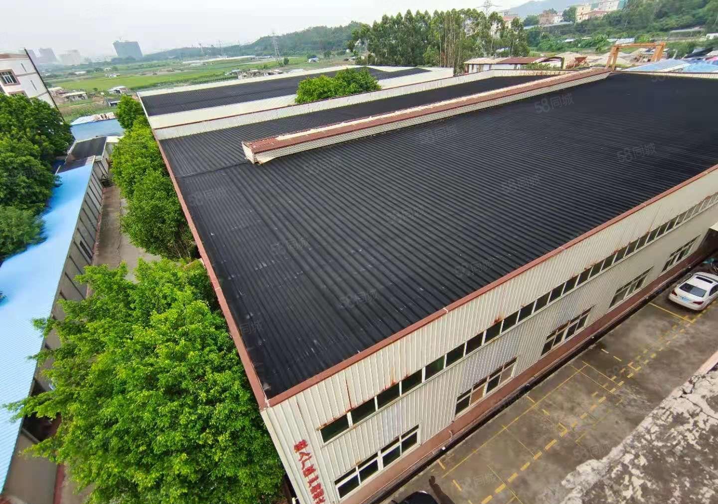 本人厂房直租，水口6800平方钢构。