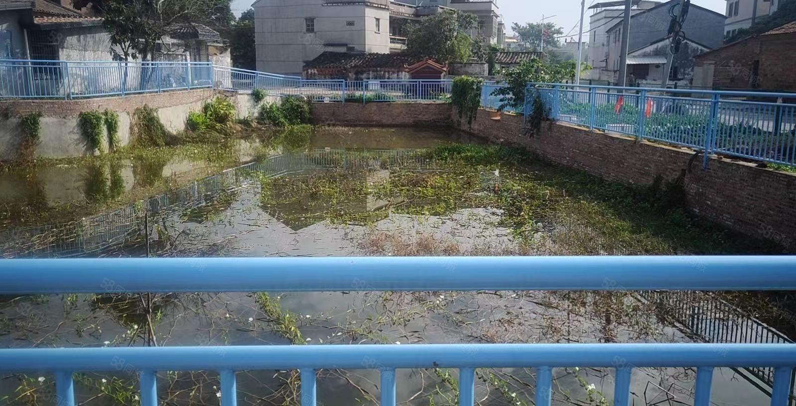 惠城区马安适合做农庄 养植.办公等 房子1千平 鱼塘1千平