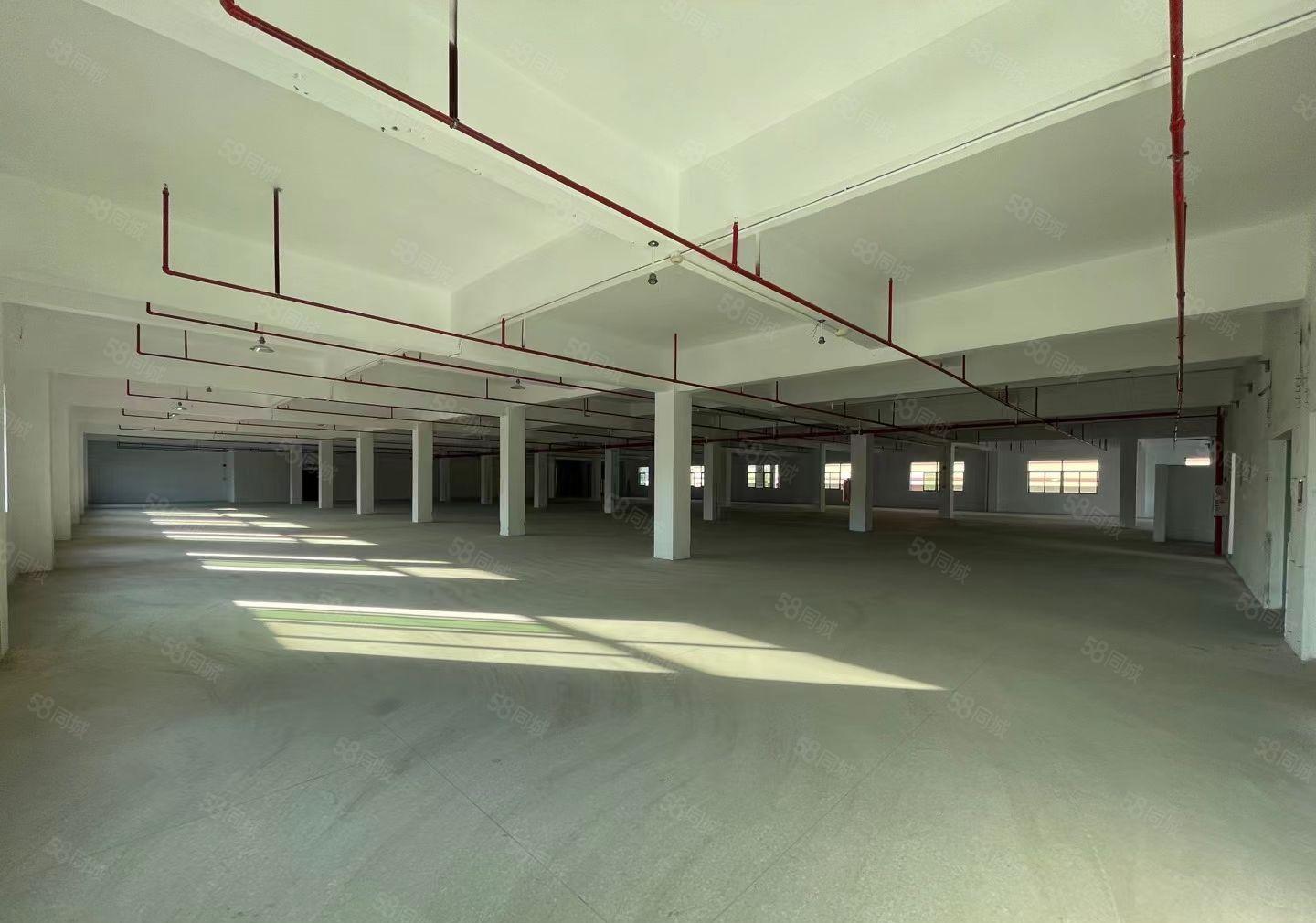 惠州 平谭工业区标准厂房2300平方 现成装修水电