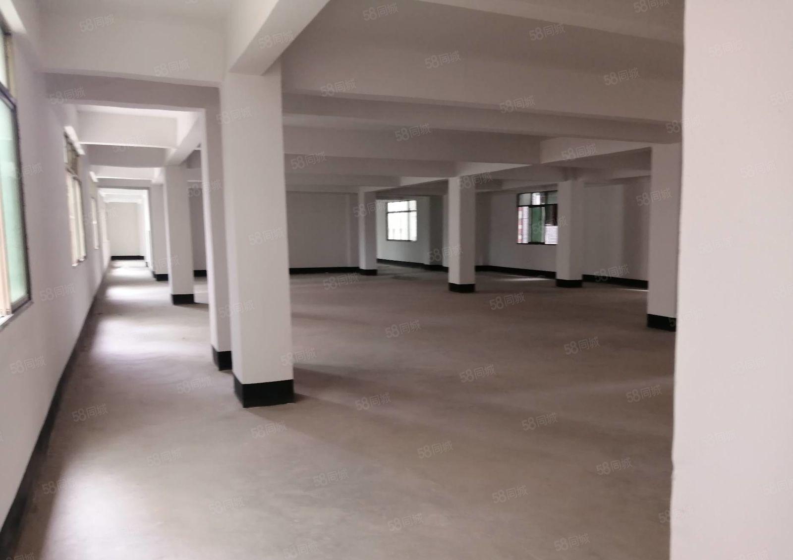 惠阳白石10元全新标准常厂房600平