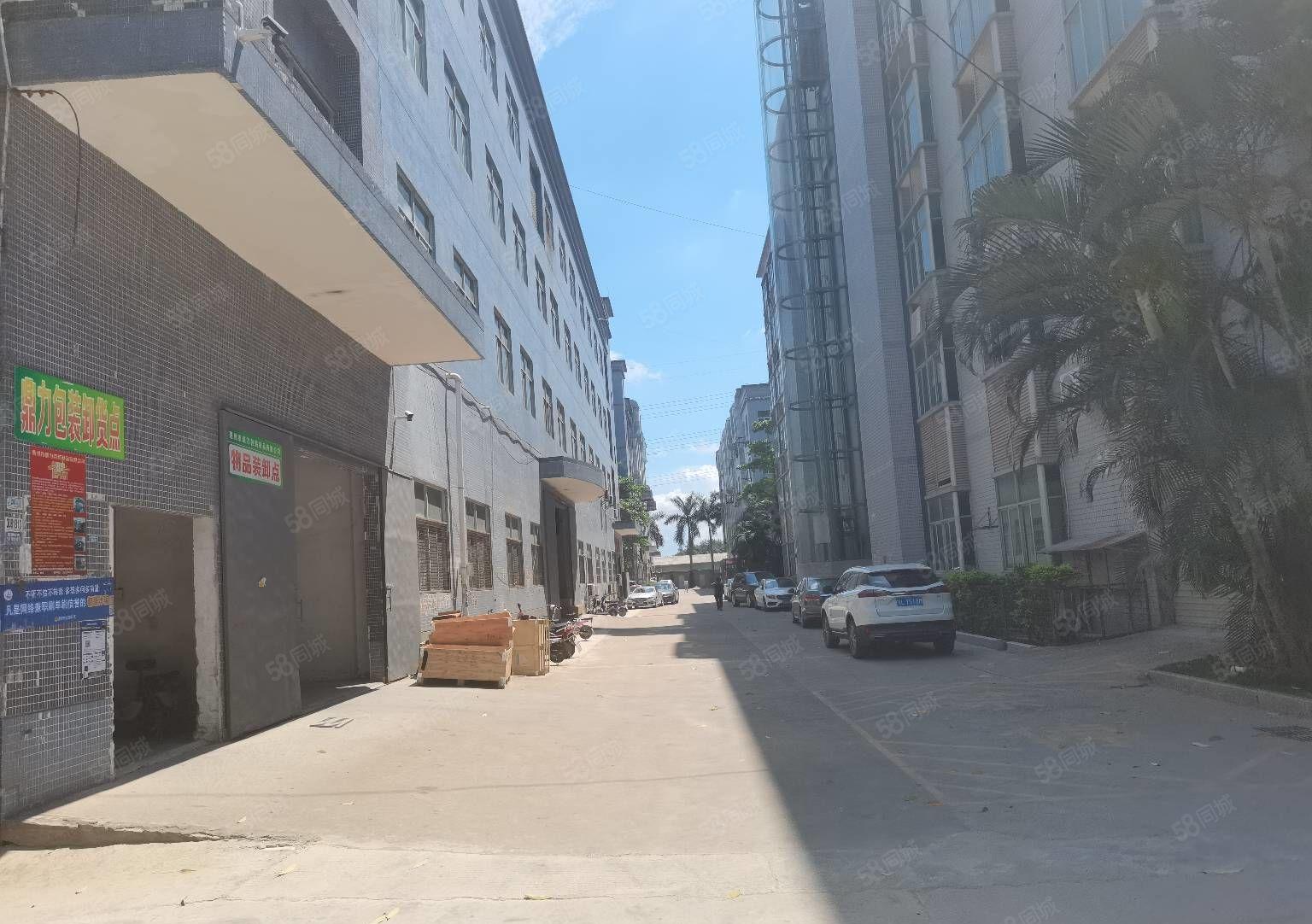 惠阳秋长新塘7万平原房东工业园带装修厂房出租可分租一楼6米高