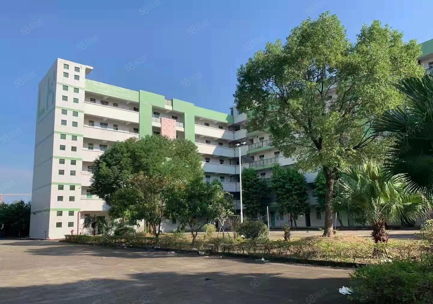 惠阳秋长花园式厂房，红本可办环评，园区空地大可分租