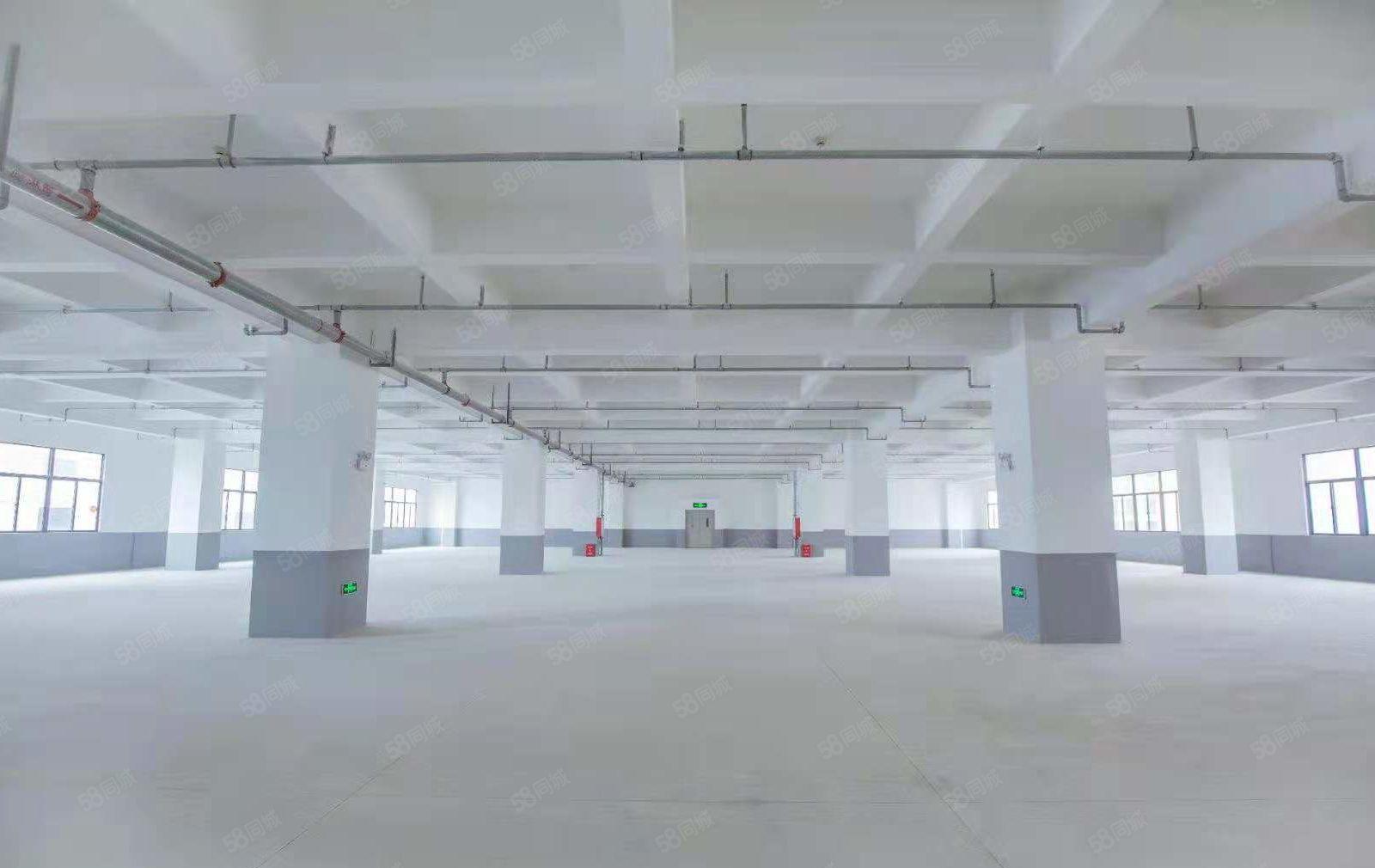 秋长原房东全新厂房，证件齐全，大小可分租