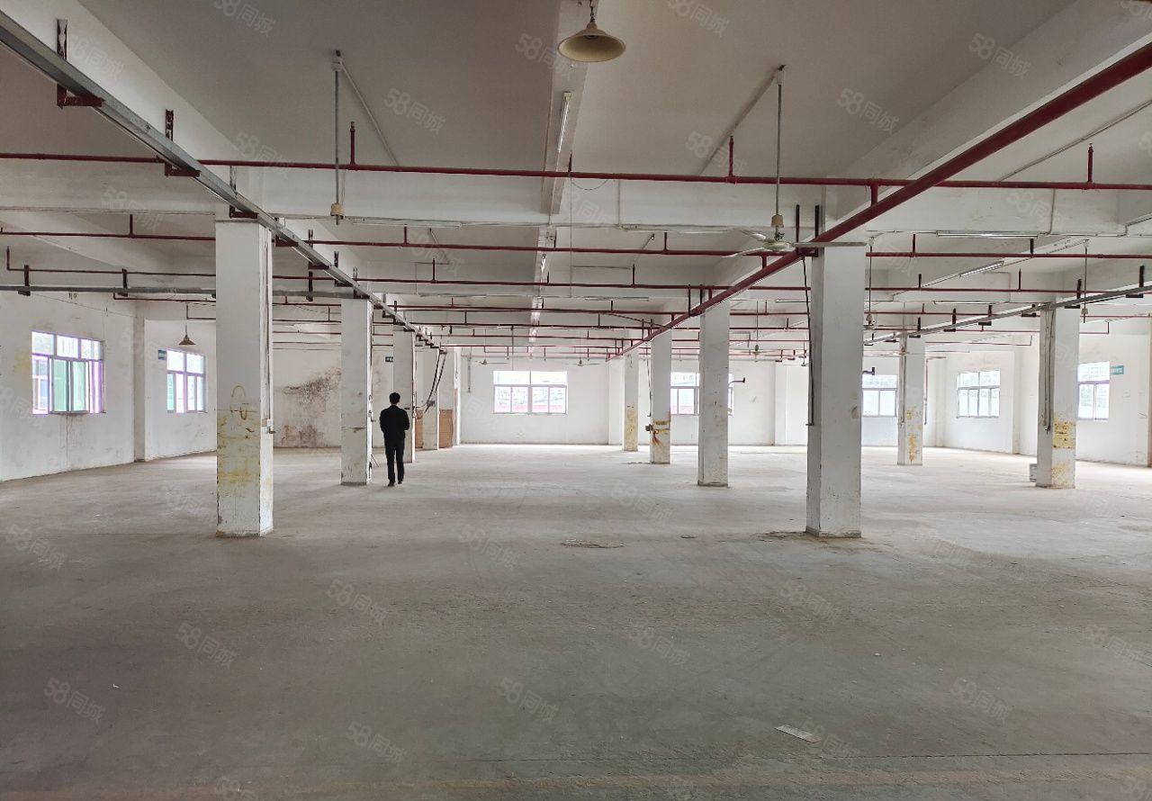 秋长便宜厂房！白石标准厂房带钢构3600平实际面积出租