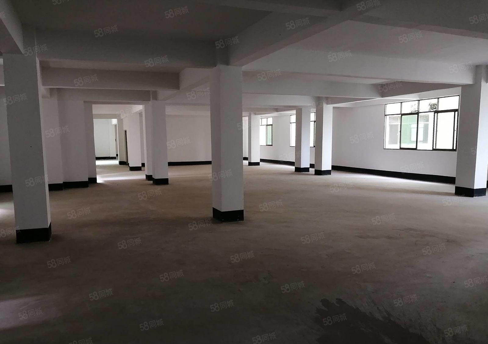 惠阳白石10元全新标准常厂房600平