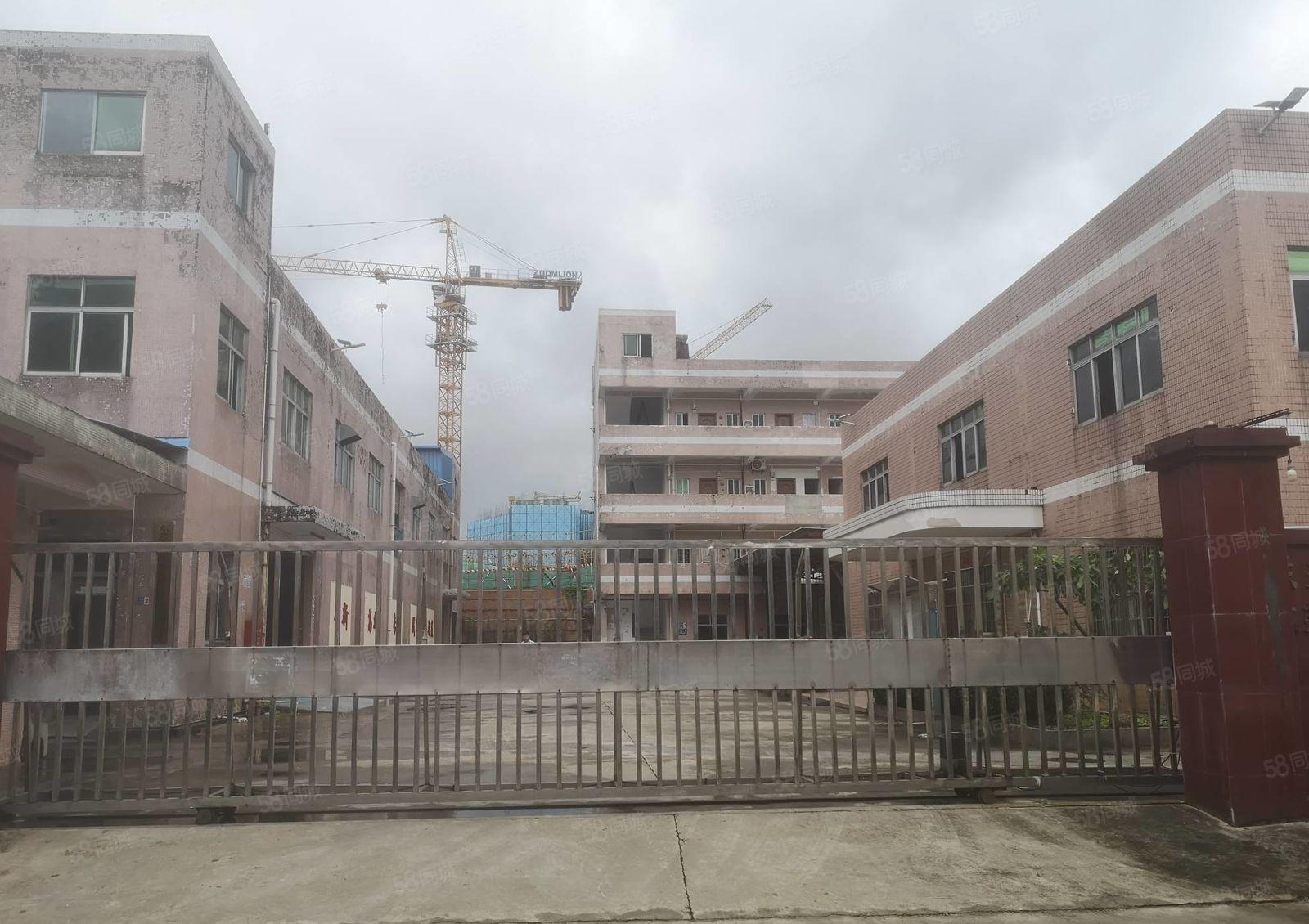 镇隆成熟工业区 原房东独院3600平厂房出租 豪华装修可分租