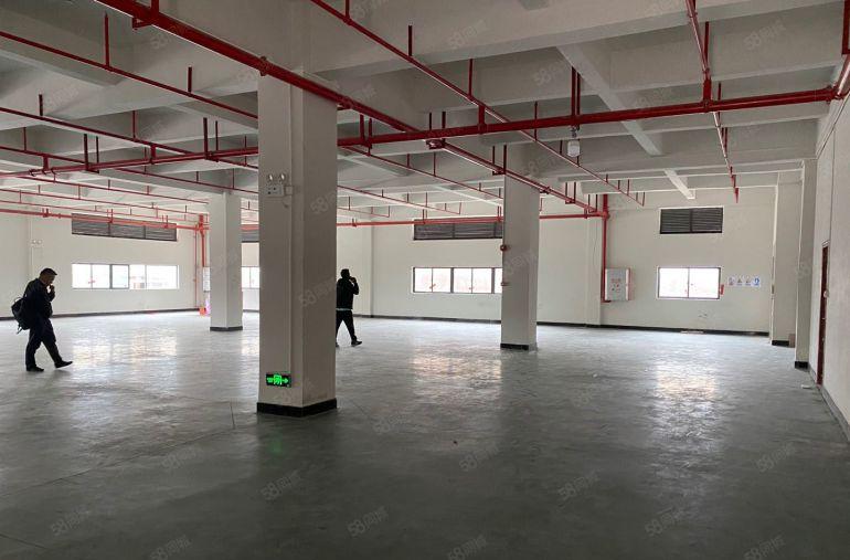 惠州惠阳镇隆原房东4000平独栋厂房低价出租园区形象好易招工